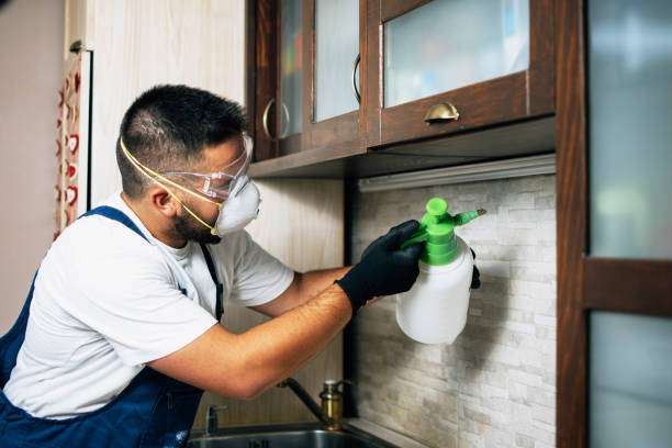 Best Affordable Pest Control Services  in Flower Hill, MD