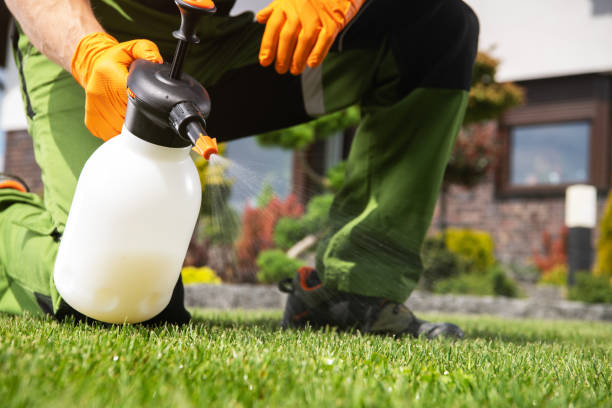 Best Residential Pest Control  in Flower Hill, MD