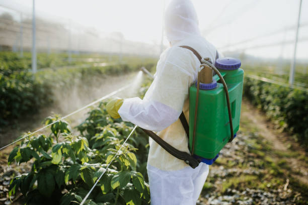 Professional Pest Control in Flower Hill, MD